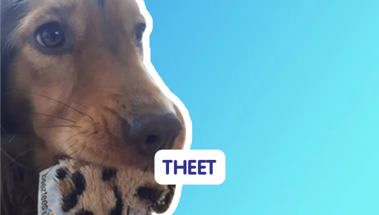 Een theetje voor Theetje
