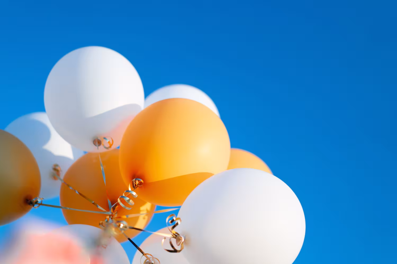 Fijne Koningsdag