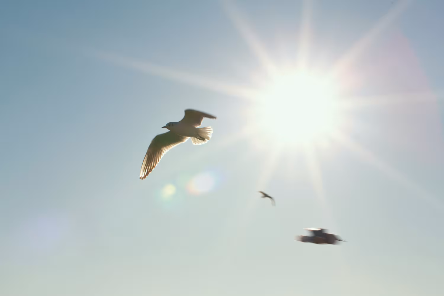 Dit wist jij nog niet over de zomer